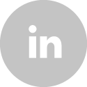 Linkedin icon